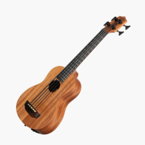 Acoustic-Electric U-Bass