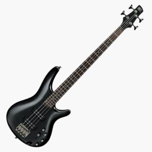 SR300E-IPT