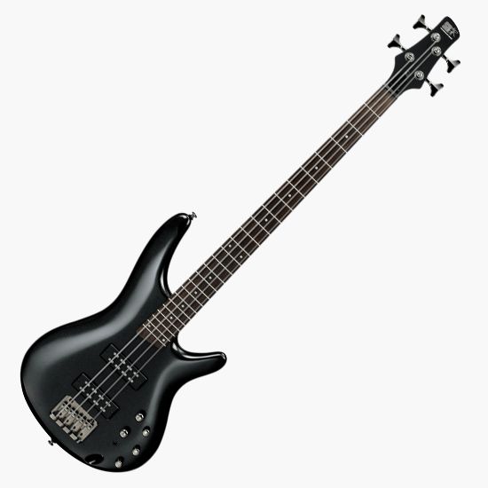 SR300E-IPT