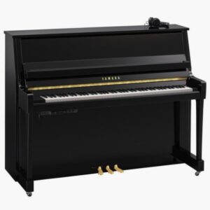 B20 SC3 Polished Ebony