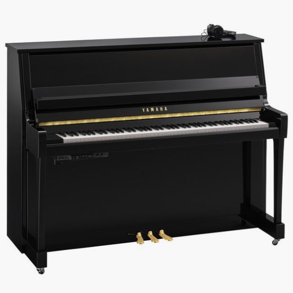 B20 SC3 Polished Ebony