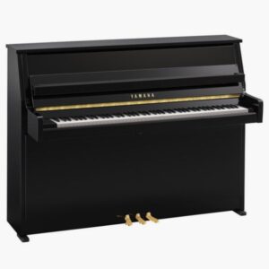B10 Polished Ebony