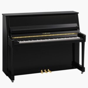 B20 Polished Ebony