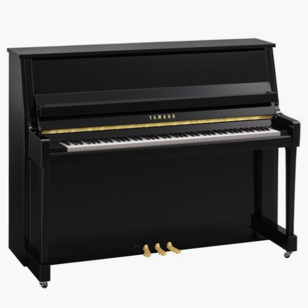 B20 Polished Ebony