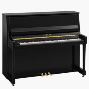 B30 Polished Ebony