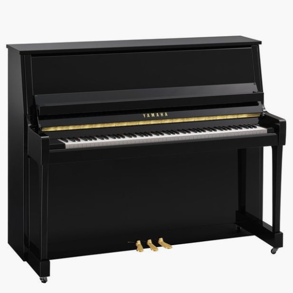 B30 Polished Ebony