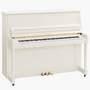 B30 Polished White