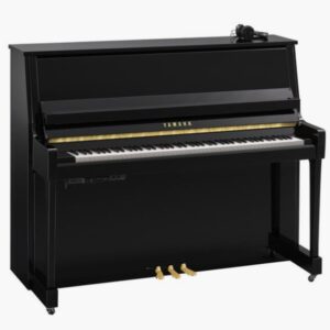 B30 SC3 Polished Ebony