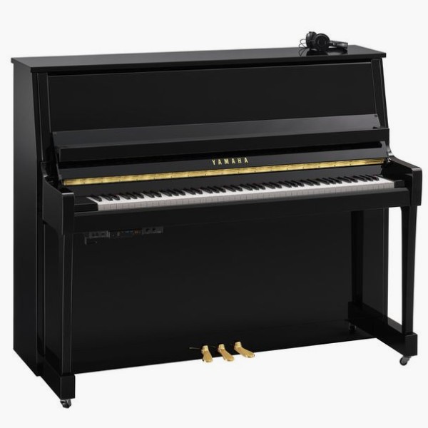 B30 SC3 Polished Ebony