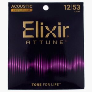 Attune 21052 Phosphor Bronze 12 - 53