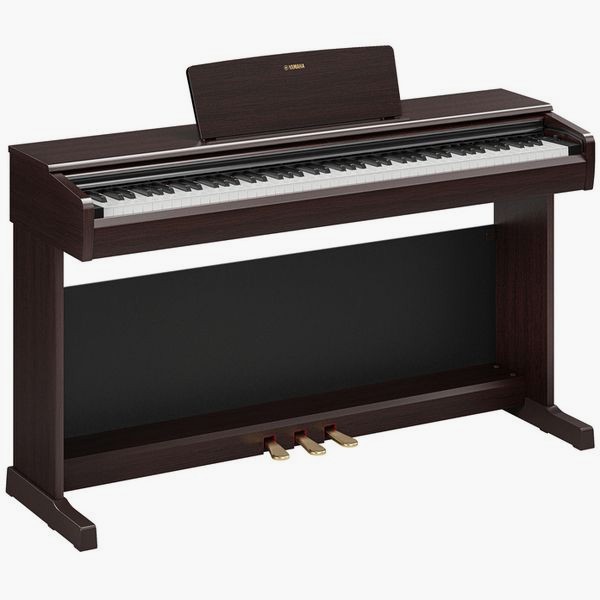 YDP-146 Rosewood