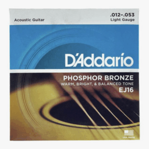 D'Addario - EJ16