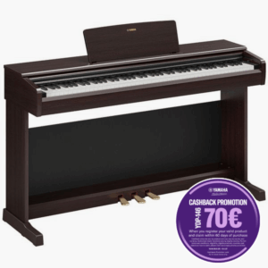 YDP-146 Rosewood